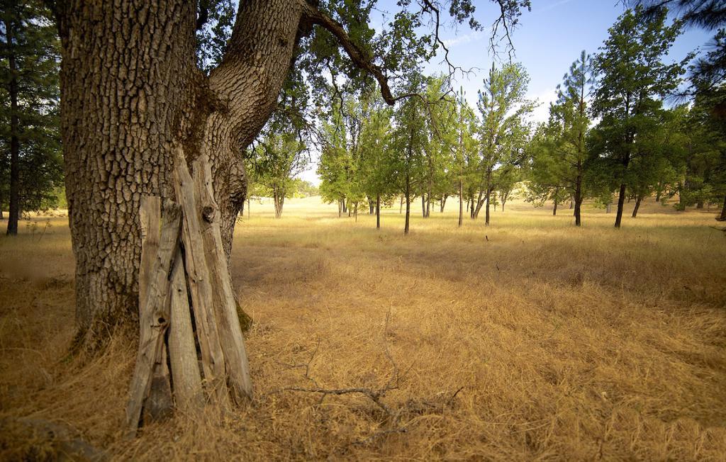 Red Tail Ranch Bed & Breakfast Groveland Bagian luar foto